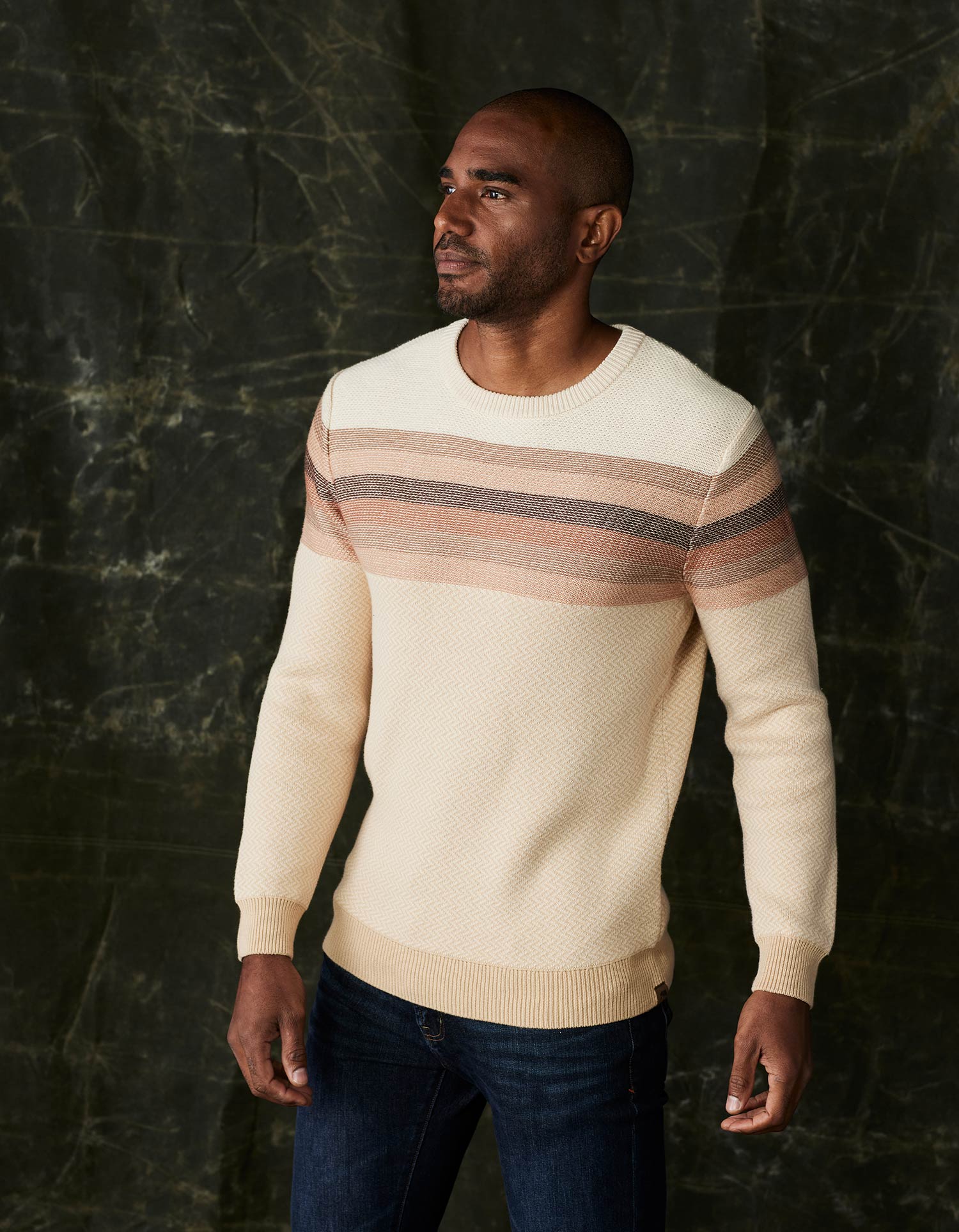 Striped Ski Sweater in Beige Multi - Image 3